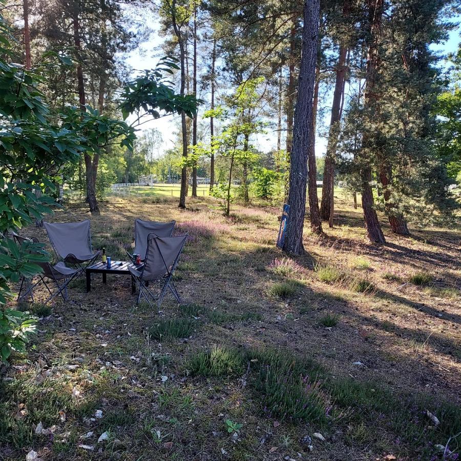Camping Onlycamp Les Pins Nancay Dış mekan fotoğraf